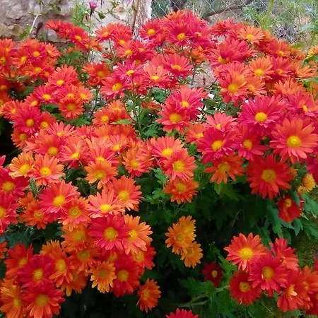 Finnish Wooden House For 2 People شقة *