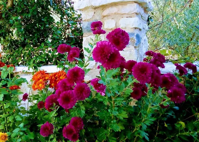 Finnish Wooden House For 2 People Vitina